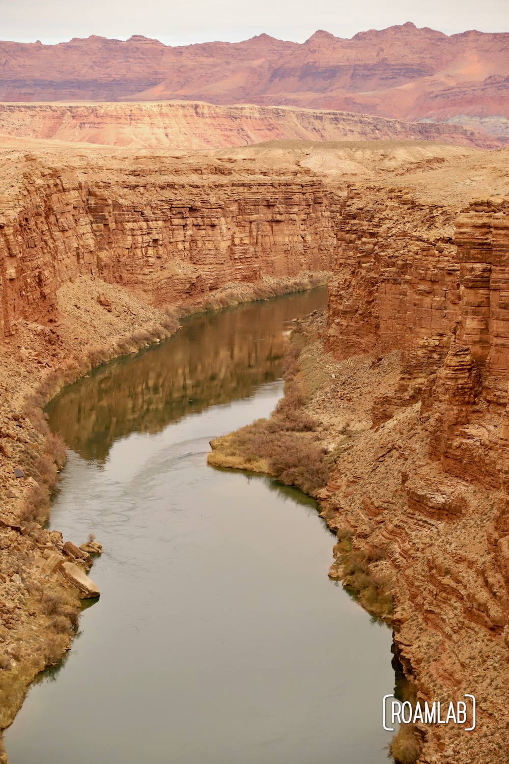 The wide Colorado river carving the cliffs of Marble Canyon.