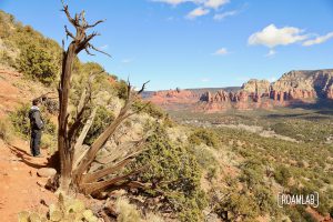 Man standing by an old gnarled tree on Airport Loop Trail looking out over Sedona, Arizona.