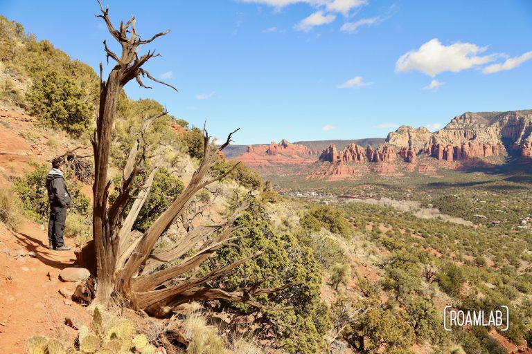 Man standing by an old gnarled tree on Airport Loop Trail looking out over Sedona, Arizona.