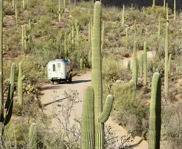 1970 Avion C11 truck camper driving down a narrow dirt road surrounded by cactus covered hillsides with mountains in the background at Saguaro National Park.