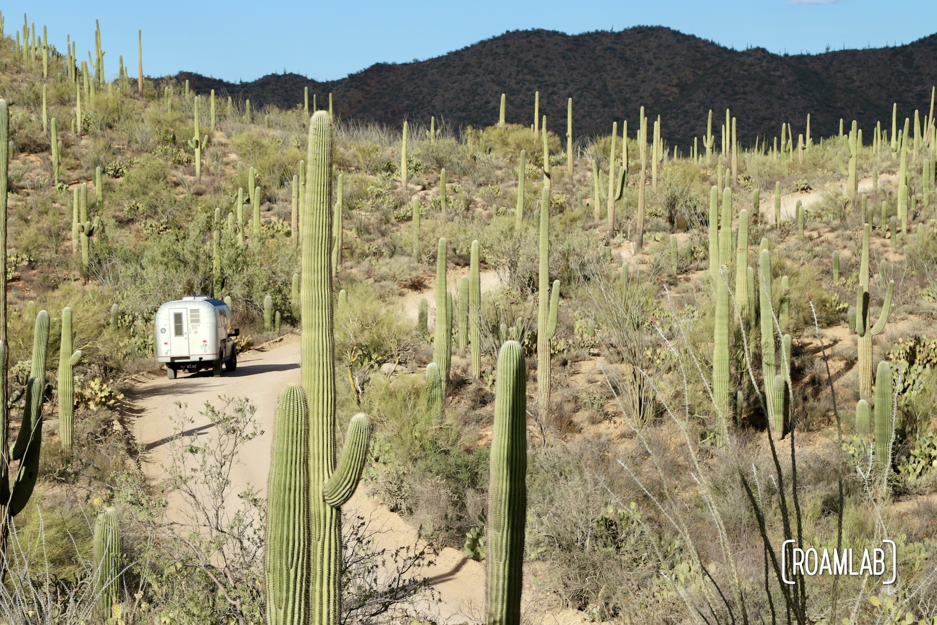 1970 Avion C11 truck camper driving down a narrow dirt road surrounded by cactus covered hillsides with mountains in the background at Saguaro National Park.