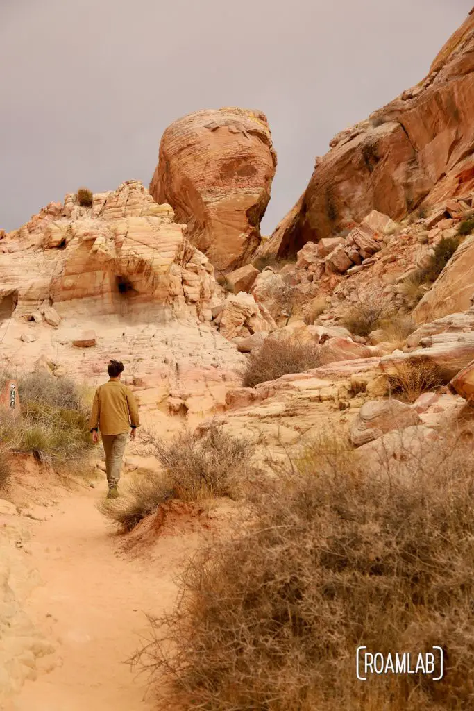 Man walking on a sandy trail toward whimsical rock formations in White Domes Trail in Nevada's Valley of Fire State Park.