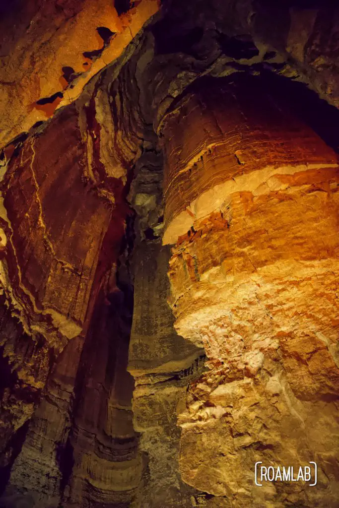 Looking up at the towering Mammoth Dome while on the Geology Tour of Mammoth Cave National Park.