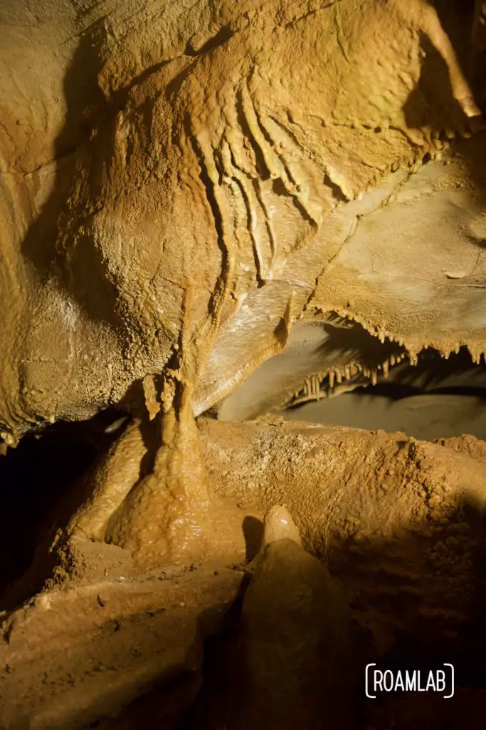 Closeup of a delicate rock formation in Crystal Onyx Cave.