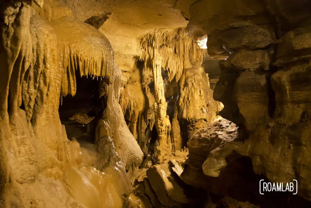 Dense rock formations in Crystal Onyx Cave.