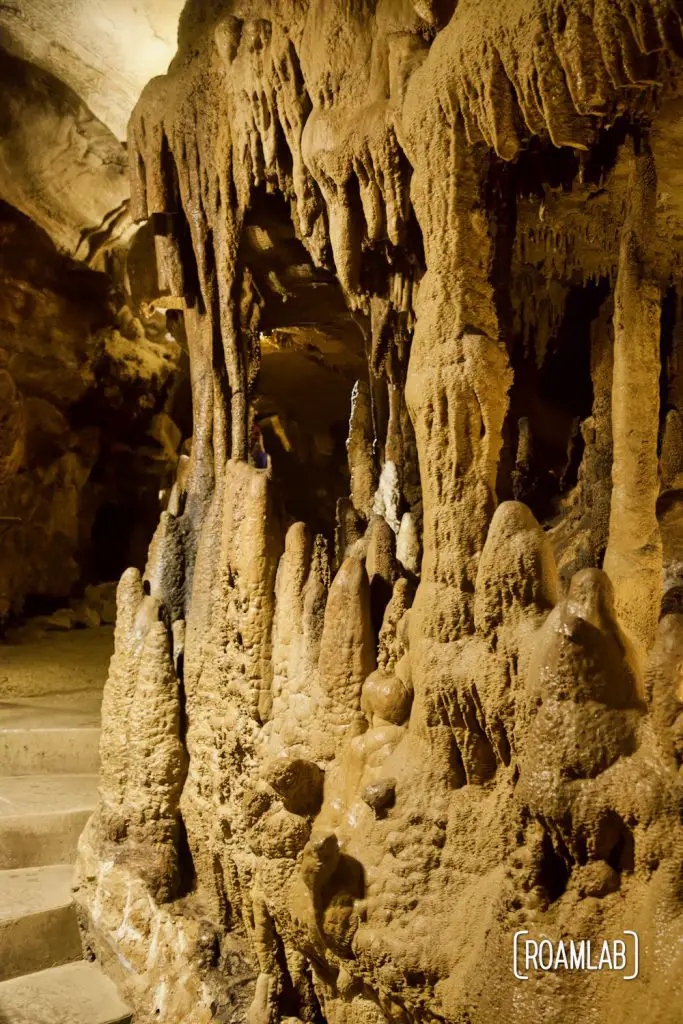 Pillars in the making in Crystal Onyx Cave.