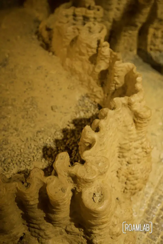 Frilly details of a delicate ribbon ridge in Crystal Onyx Cave.