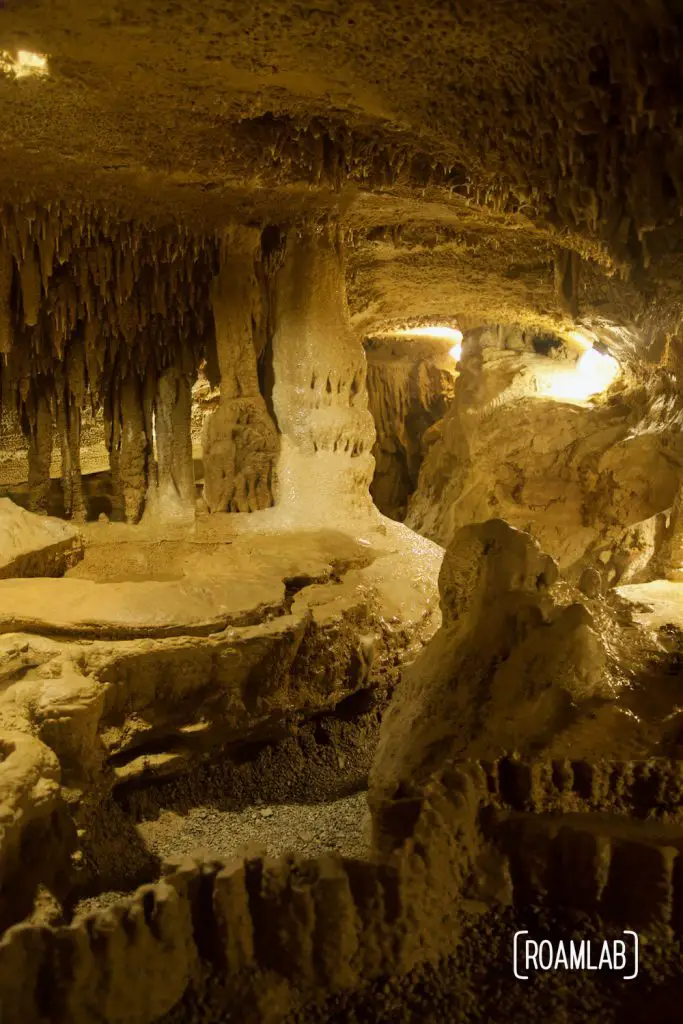 A chamber full of rock formations in Crystal Onyx Cave.