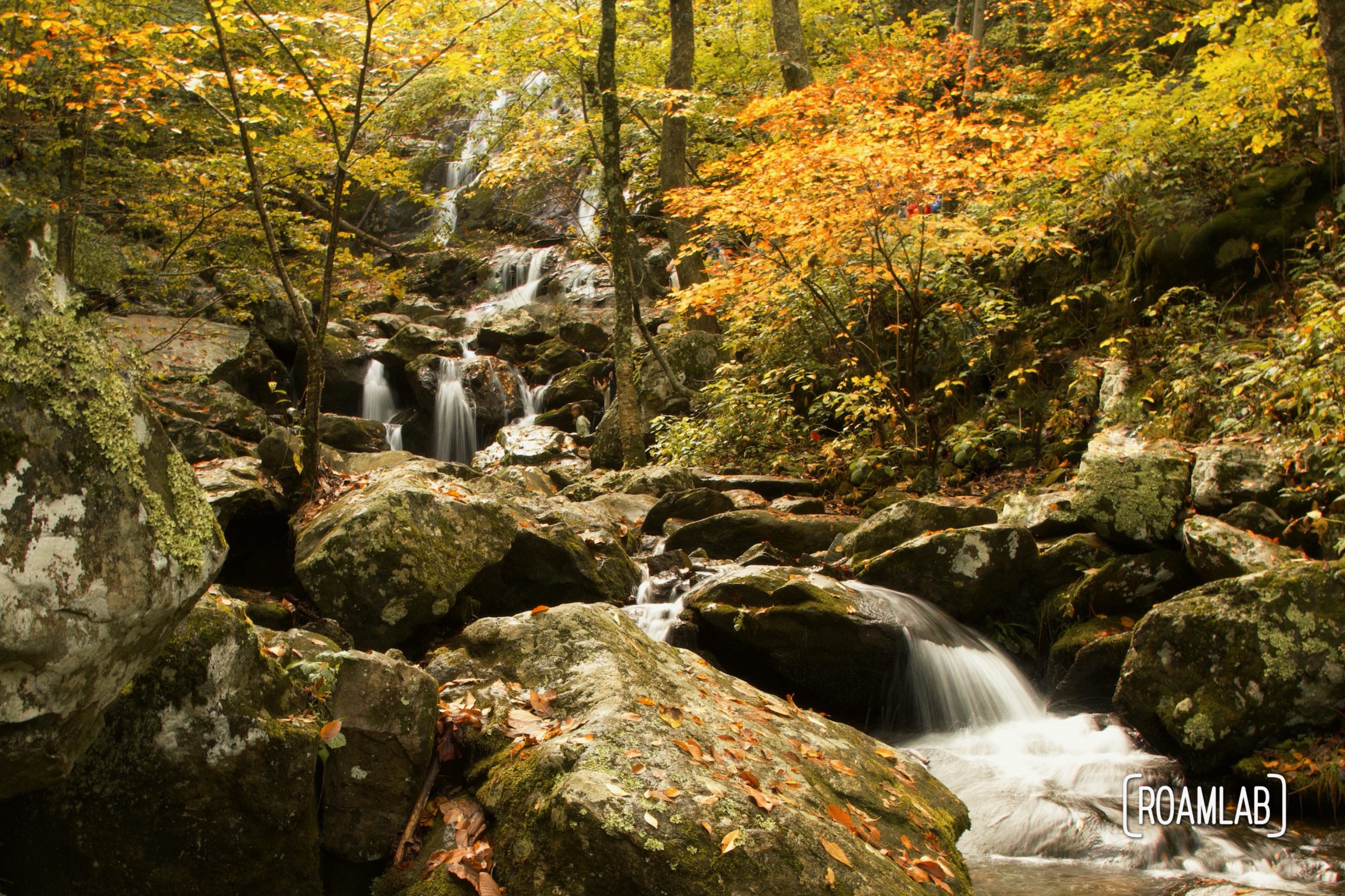 Fall colors view of the Dark Hollows Falls in Shenandoah National Park.