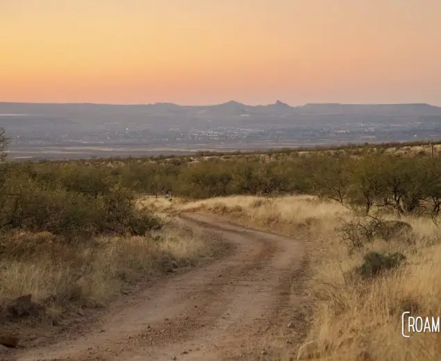 Dirt road winding through grassy desert land at sunset.