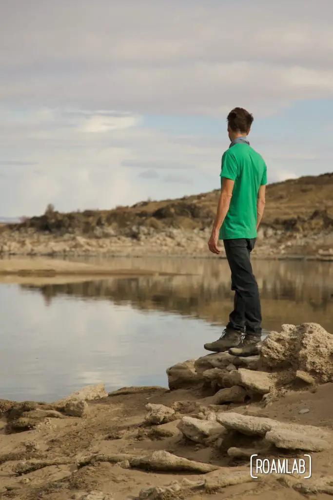 Man in a green shirt looking out over Elephant Butte Lake.