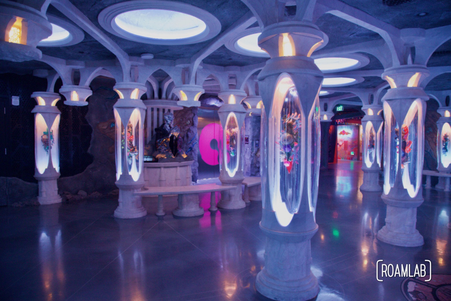 Room of pillars with glass display cases, part of Ossuary in Convergence Station, Meow Wolf's Denver, Colorado location.