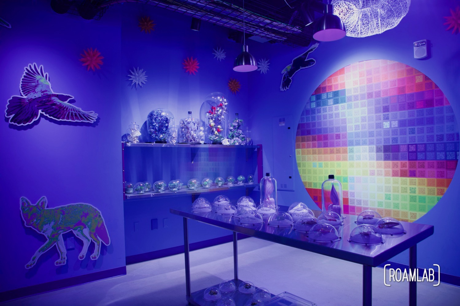 Inside a C Street shop full of strange warped ears, teeth and other samples of body horror in Meow Wolf Denvers's Convergence Station.