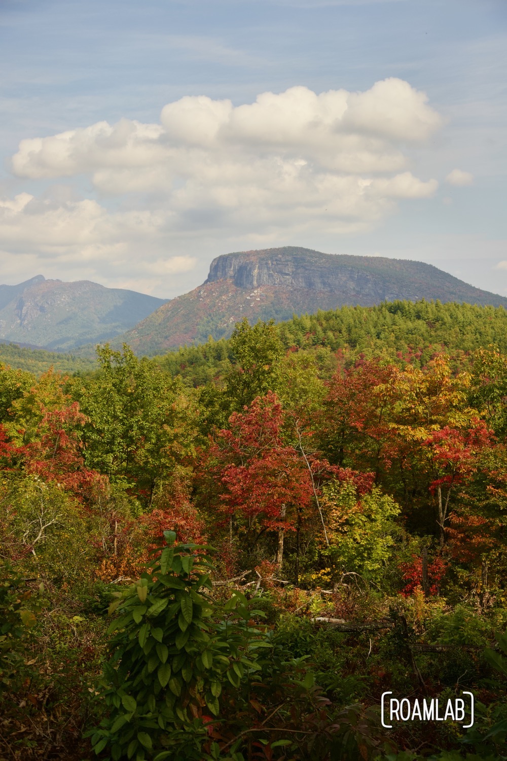 A colorful view of Linville Gorge Wilderness Area.