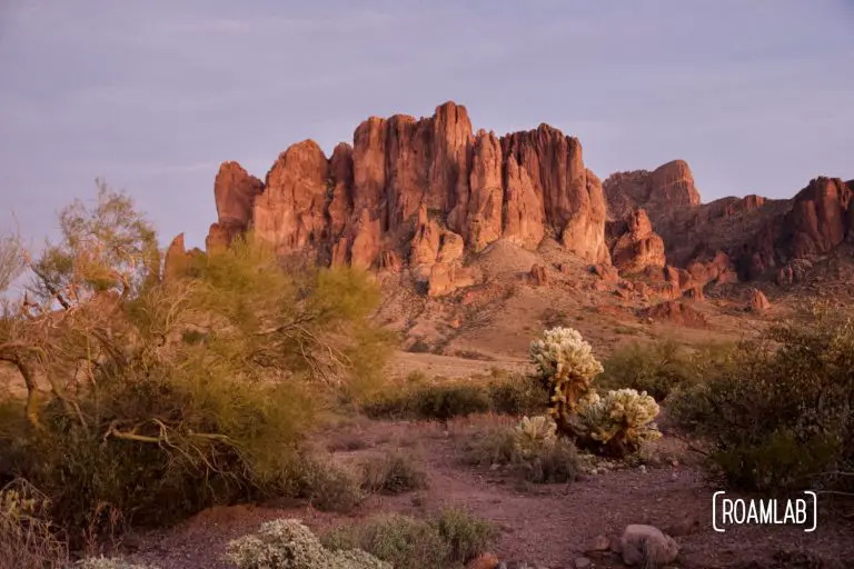 Warm evening light washes the Superstition Mountains in pink at the Lost Dutchman State Park in Arizona.