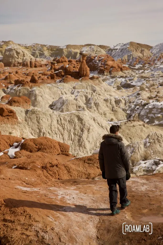 Man looking over the north canyon rim and toadstool hoodoos.