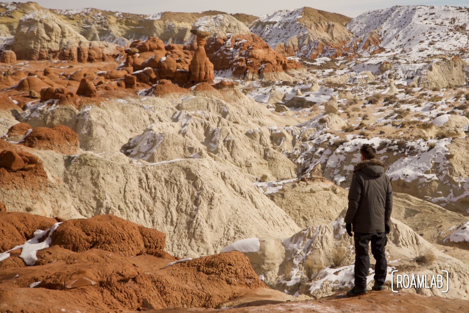 Man looking over the north canyon rim and toadstool hoodoos.