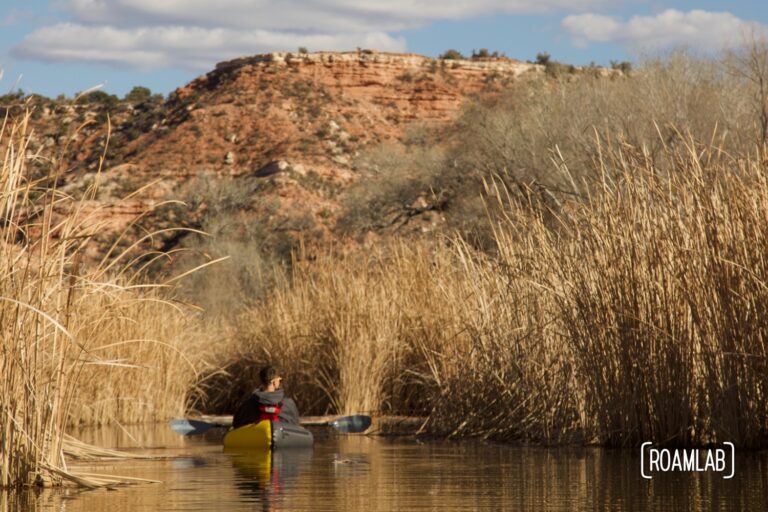 Man paddling in a yellow raft on a pond surrounded by golden reeds with a pink bluff rising in the background at Dead Horse Ranch State Park.