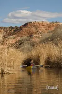 Man paddling in a yellow raft on a pond surrounded by golden reeds with a pink bluff rising in the background at Dead Horse Ranch State Park.