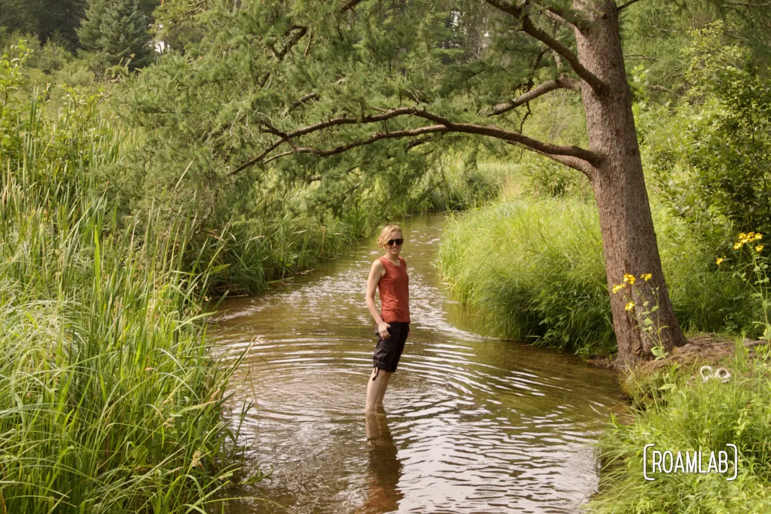 Woman standing in the middle of a small river shaded by a red pine tree and surrounded with reeds.