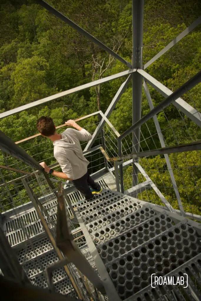 Man looking down from metal stairs at a forest canopy below.