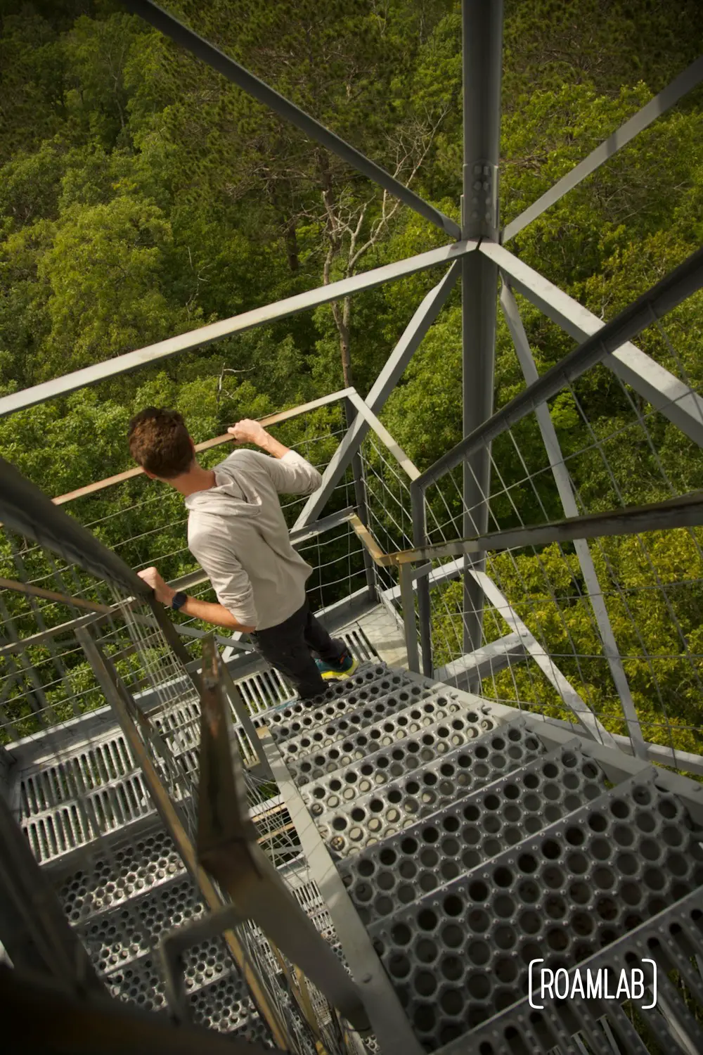 Man looking down from metal stairs at a forest canopy below.
