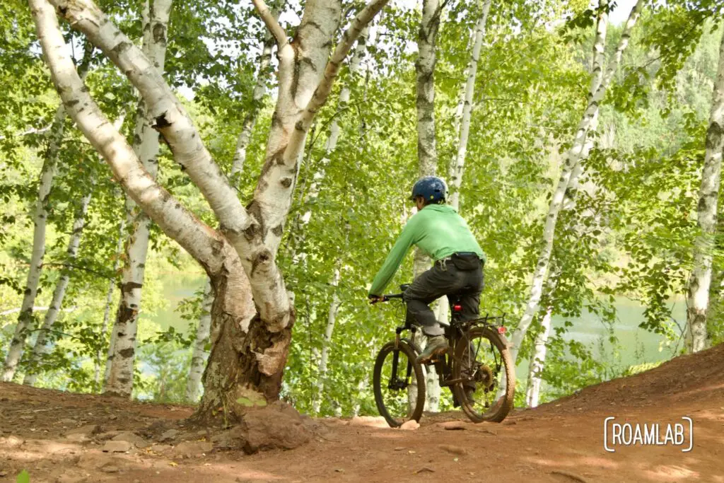 Man on a mountain bike biking along a red dirt single track through an aspen grove.