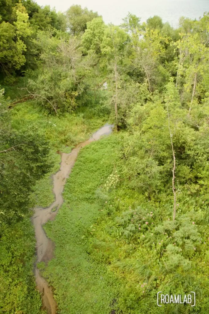 Birds eye view of a green ravine with a small creek wandering.