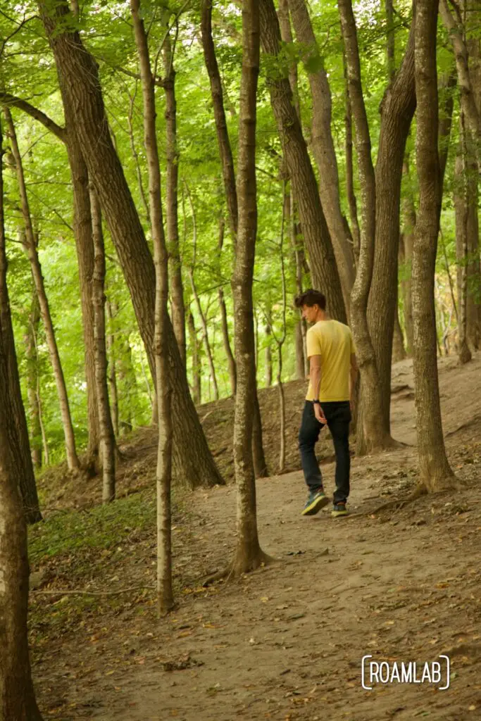 Man walking along a forested trail.