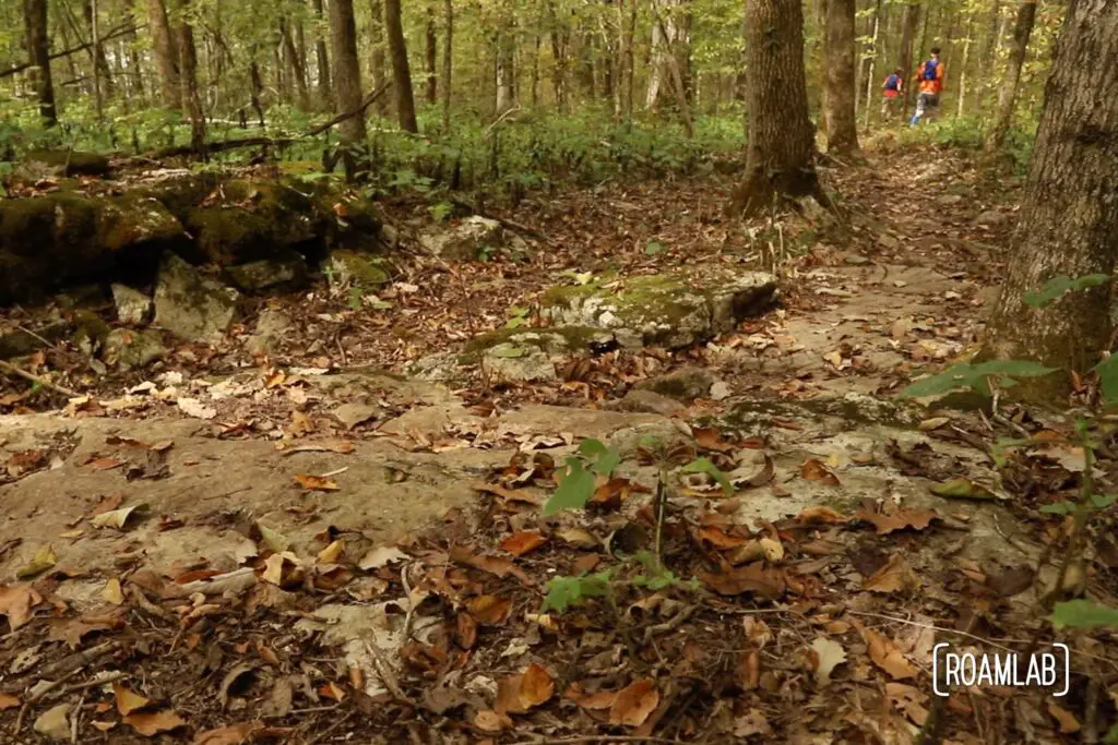 Trail view with two people running in the background.