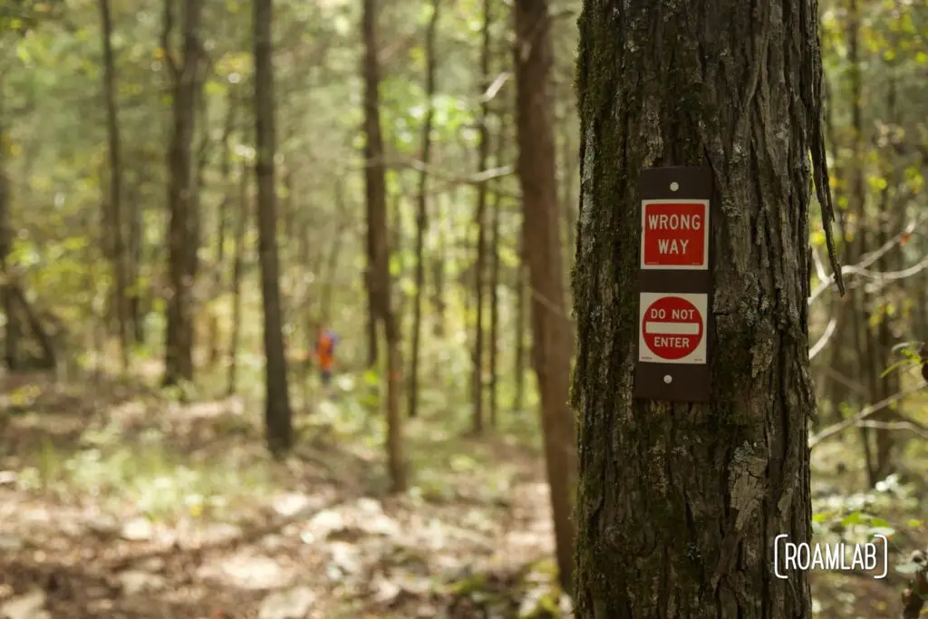 Closeup of a tree with a "wrong way" sign.