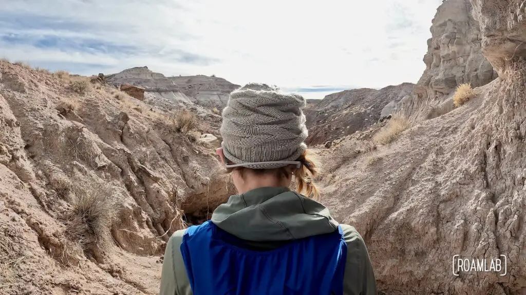 View from behind a woman in a beanie looking out on desert badlands of Wilderness Loop in Petrified Forest National Park.