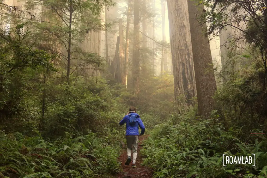 Man running down a dirt path in a redwood forest