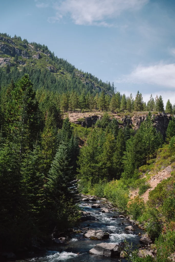 View of a river and mountains along the Oregon Cascades 100 course.